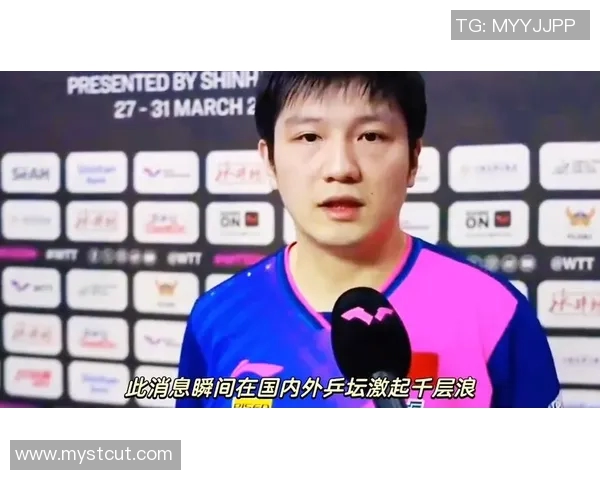 樊振东加盟德甲背后的真相揭秘留洋之路是逃避还是新机遇