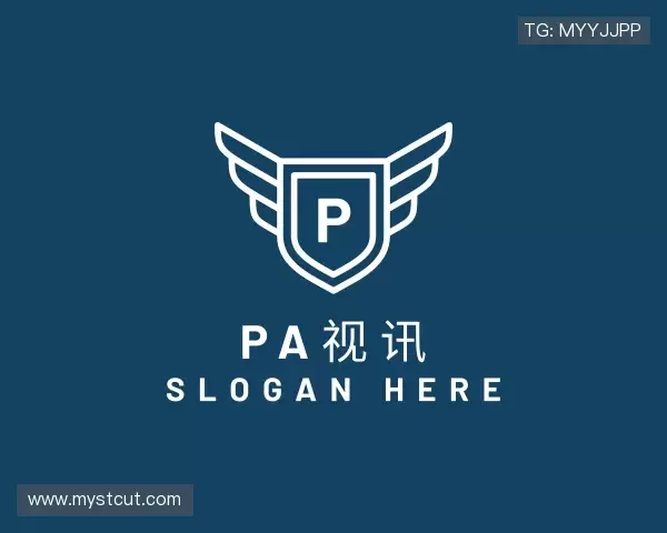 了解pa视讯平台